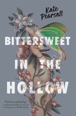 Cover for “Bittersweet in the Hollow”